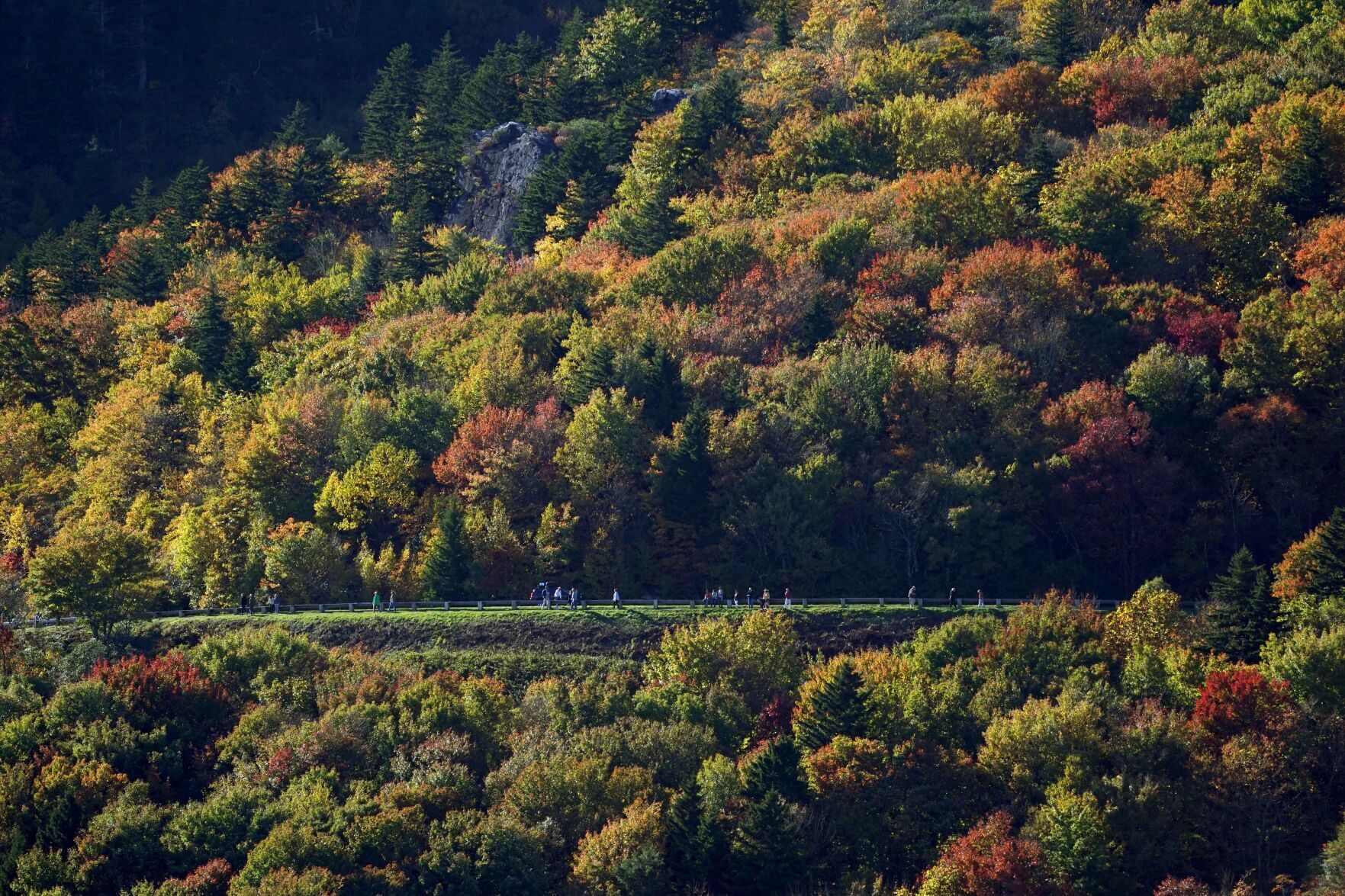 Blue Ridge Parkway Fall Photo Gallery